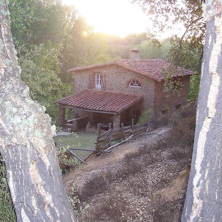Maison d'hôtes Casas El Alamillo- El Castanero à Galaroza Extérieur photo